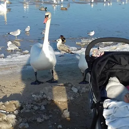 Aquamarina Lägenhet *